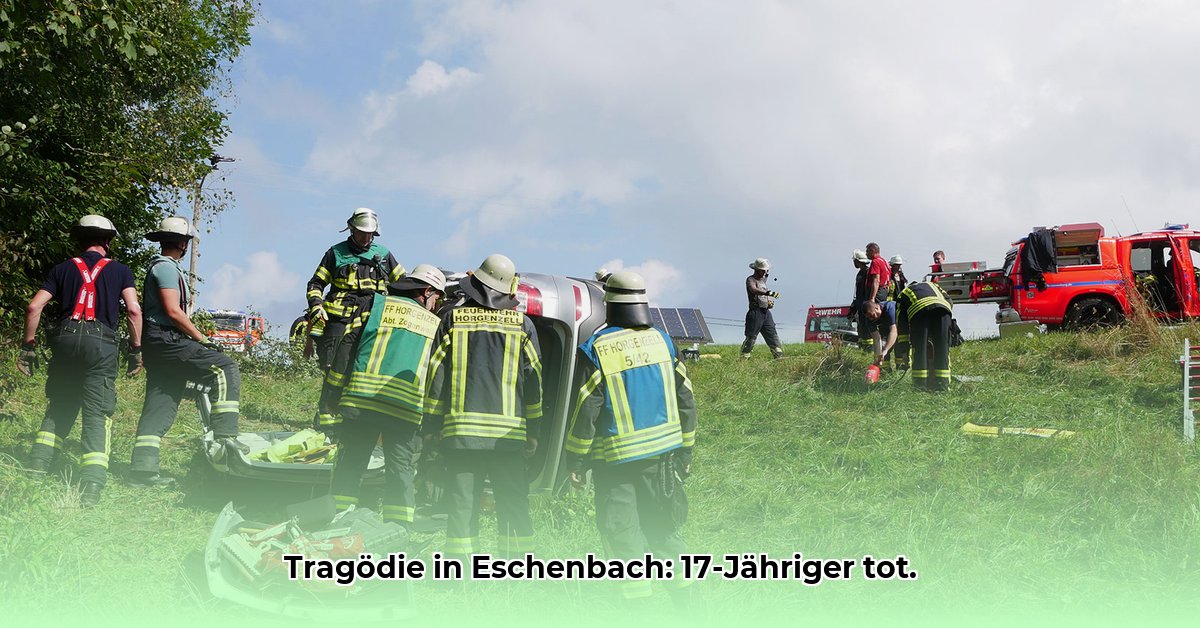 unfall-eschenbach-lu